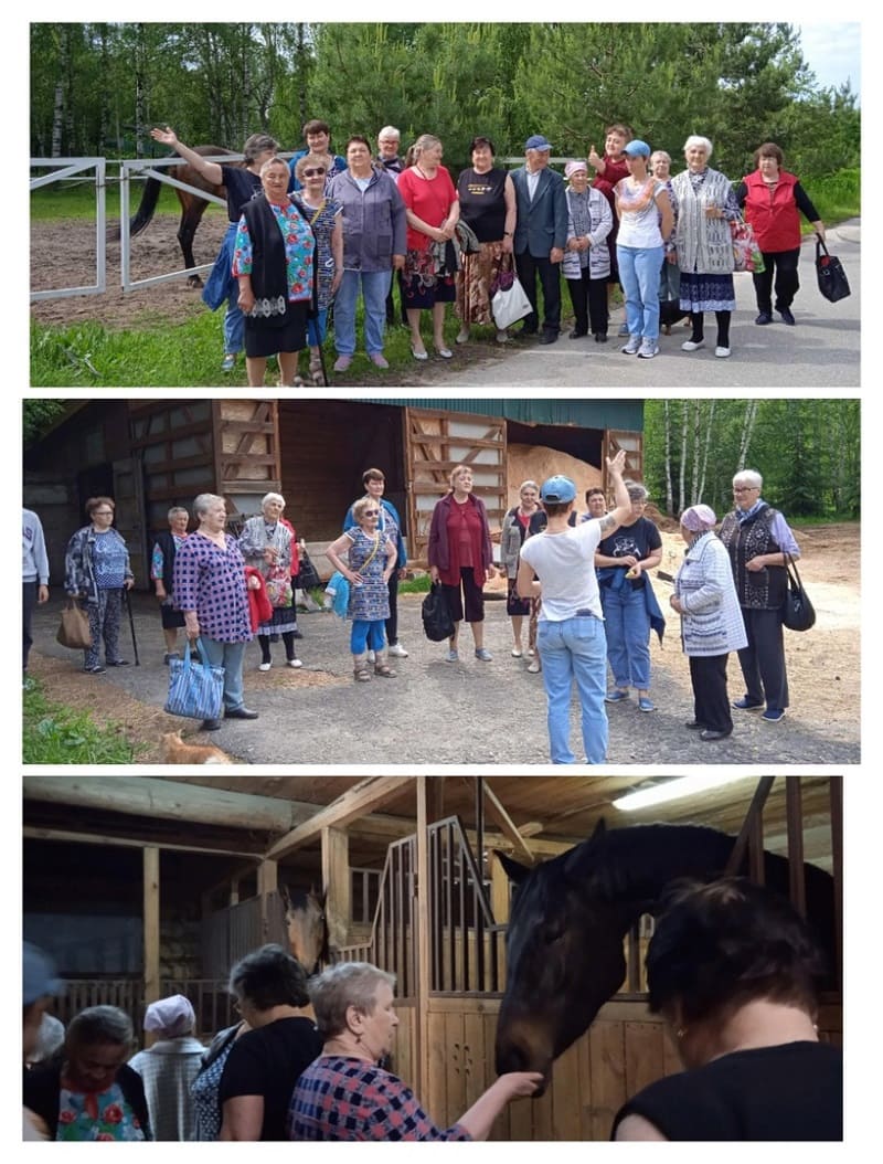 Чкаловские пенсионеры посетили конно-спортивный клуб «Витязь»