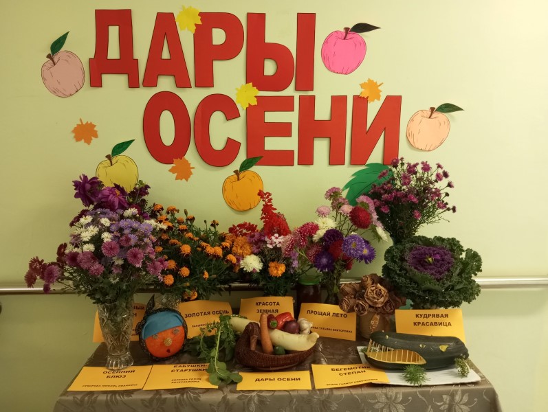 Выставка «Дары осени» в ОДП