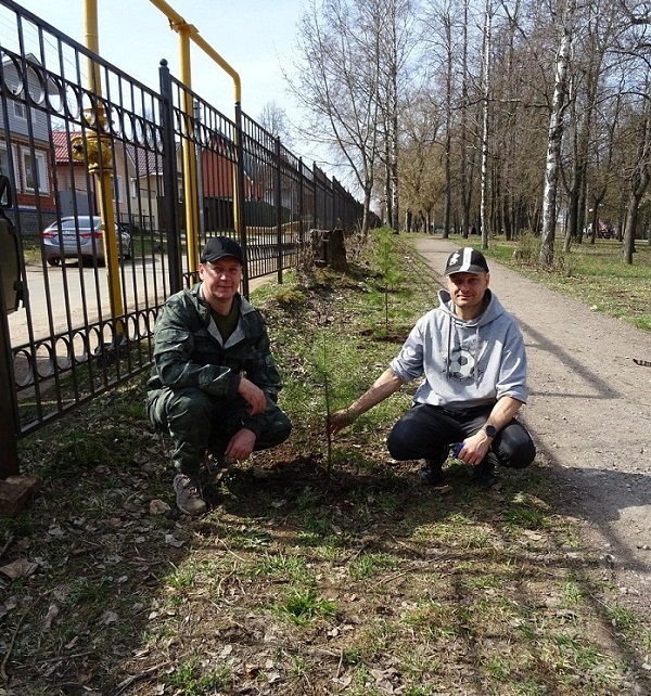 Аллея Памяти