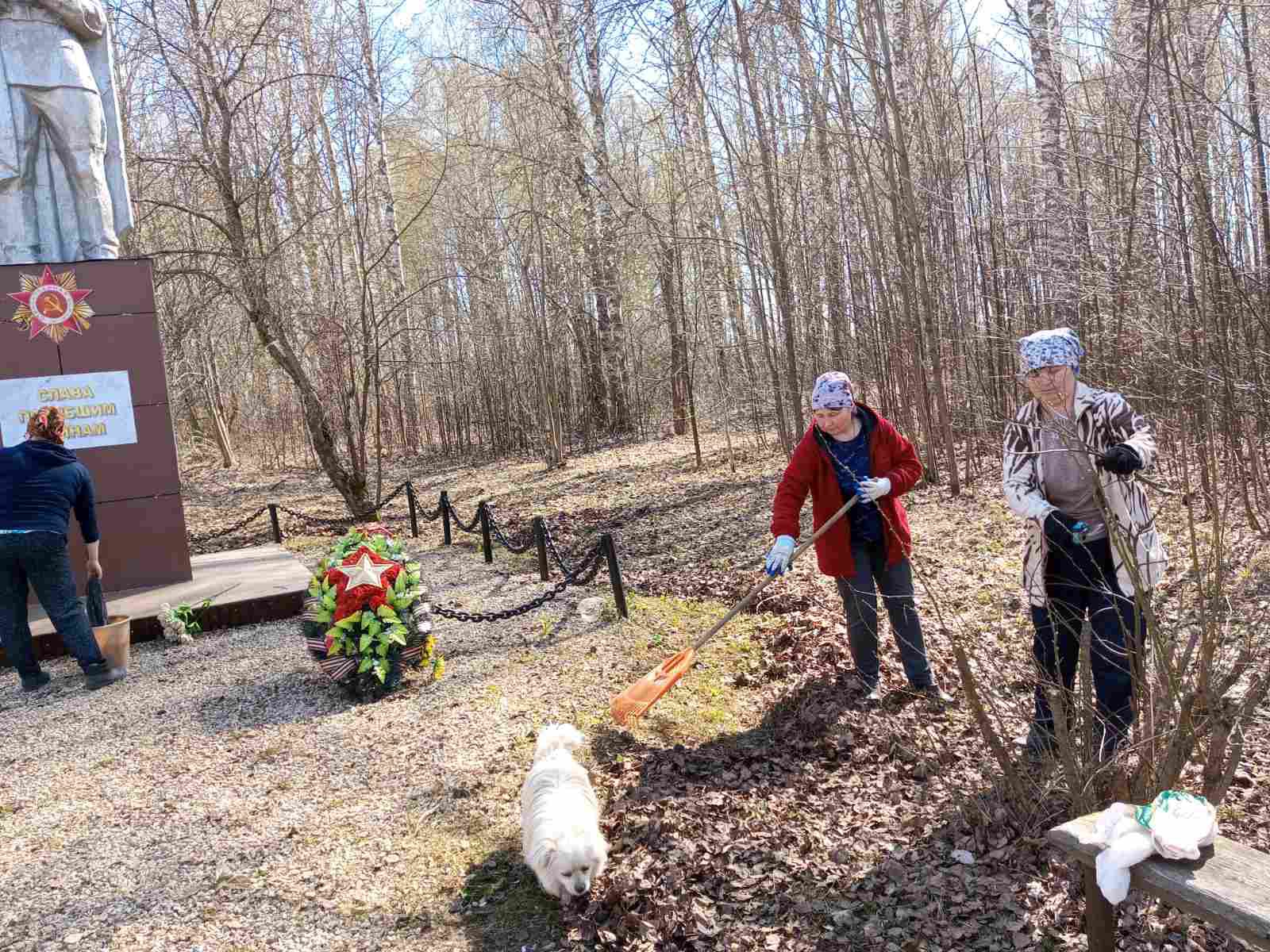 не остались в стороне