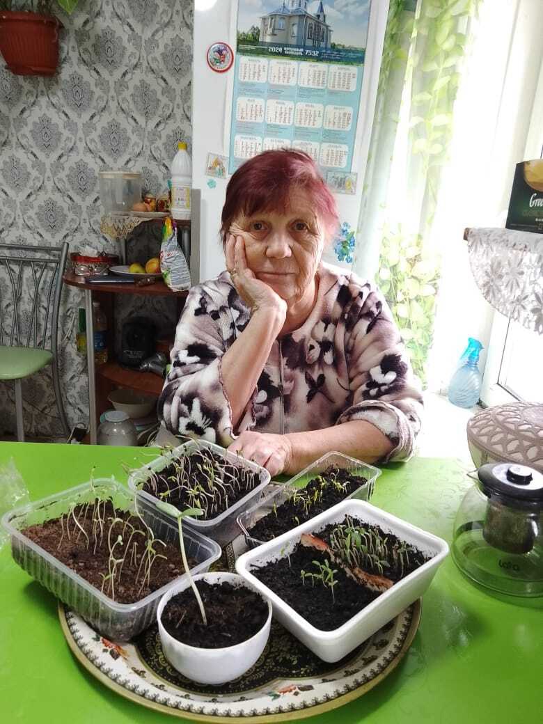 Посев семян на рассаду
